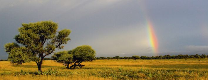 shutterstock 56855989