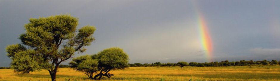 shutterstock 56855989