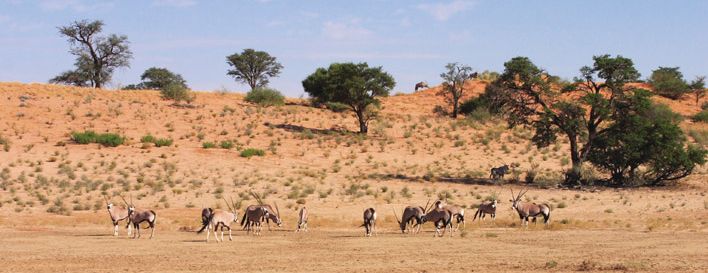 shutterstock 3345056