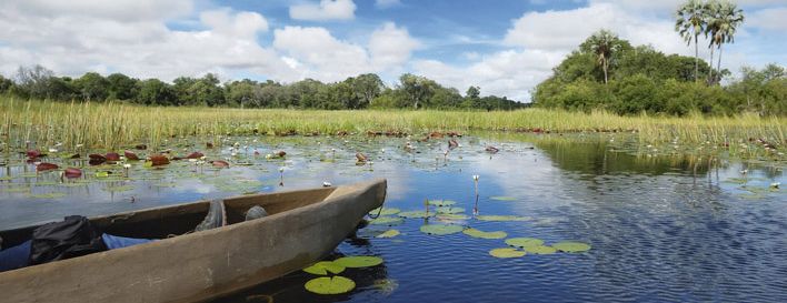 Botswana Okavango 10 deltaLarge