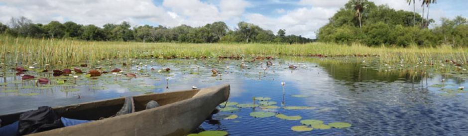 Botswana Okavango 10 deltaLarge