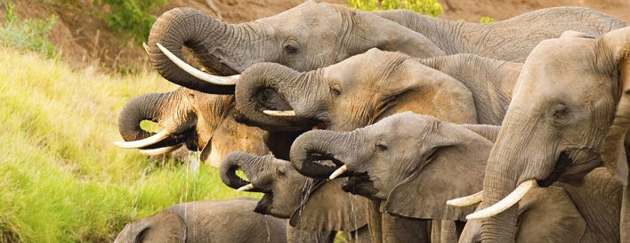 shutterstock 54180163