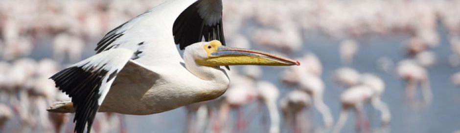 shutterstock 121636495