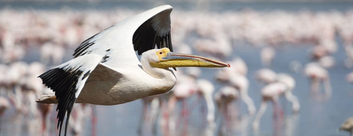 shutterstock 121636495