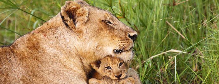 shutterstock 79199104